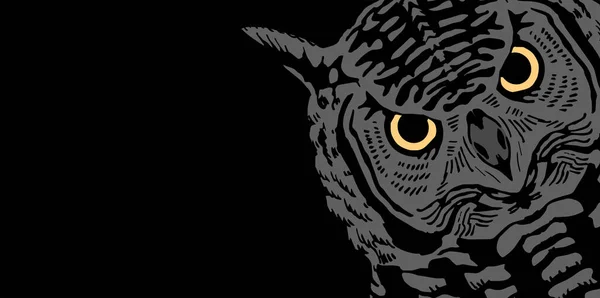 Owl Head Predatory Eyes Realistic Wild Bird Portrait Front View Royalty Free Stock Vectors