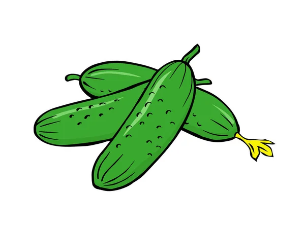 Zielone Ogórki Białym Tle Przydatne Warzywa Dietetyczne Jedzenie Ilustracja Pojedynczego — Wektor stockowy