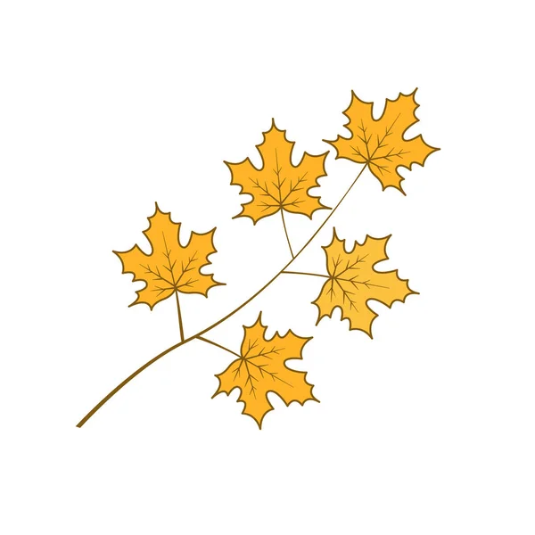 Dessin Une Branche Aux Feuilles Érable Jaunes Saison Automne Illustration — Image vectorielle