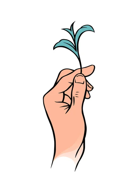 Αρσενικό Χέρι Κρατά Προσεκτικά Πράσινο Βλαστάρι Του Φυτού Εικονογράφηση Διανύσματος — Διανυσματικό Αρχείο