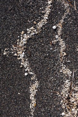 Beyaz çakıl taşları ve kurumuş deniz yosunlarının soyut çizgileri ile volkanik siyah kum dokusu