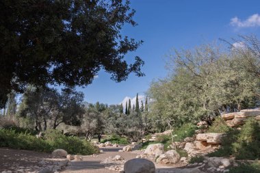 İsrail 'in Negev Çölü' ndeki Paula ve David Ben-Gurion ulusal parkında ağaçların ve kaya oluşumlarının bulunduğu manzaralı yürüyüş yolu, 13 Aralık 2025