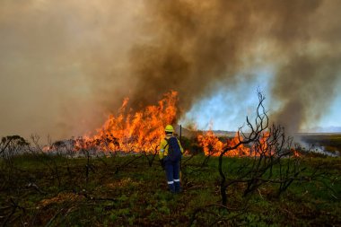 A firefighter standing on the frontline of a fynbos wildfire in the Western Cape, South Africa clipart