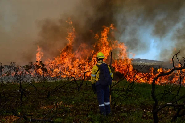 Bombero Parado Primera Línea Incendio Forestal Fynbos Cabo Occidental Sudáfrica —  Fotos de Stock