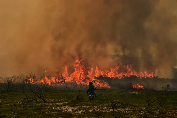 Bombero Parado Primera Línea Incendio Forestal Fynbos Cabo Occidental Sudáfrica —  Fotos de Stock