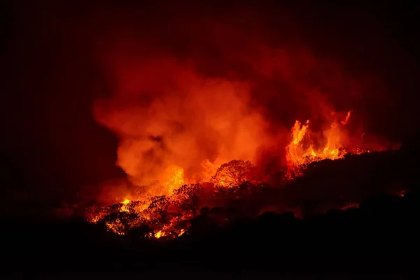 Incendio Forestal Fynbos Que Arde Durante Noche Cabo Occidental Sudáfrica —  Fotos de Stock