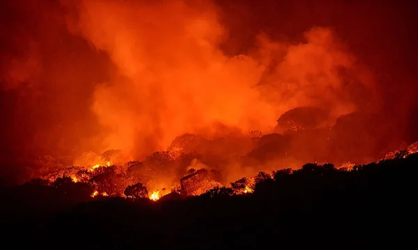 Incendio Forestal Fynbos Que Arde Durante Noche Cabo Occidental Sudáfrica —  Fotos de Stock