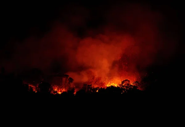 Feu Forêt Fynbos Qui Brûle Toute Nuit Cap Occidental Afrique — Photo