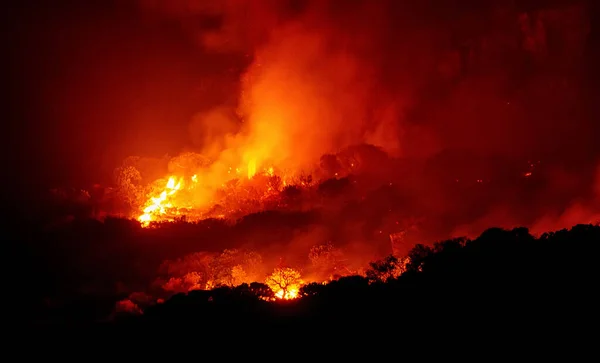 Incendio Forestal Fynbos Que Arde Durante Noche Cabo Occidental Sudáfrica —  Fotos de Stock