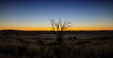 Kalahari bozkırında gün batımı manzarası