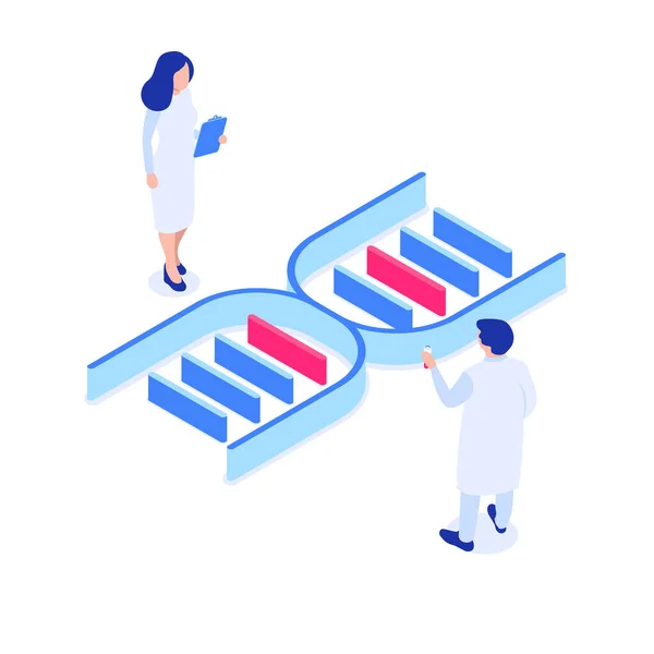 Dos Investigadores Están Estudiando Estructura Del Adn Investigación Laboratorio Genética — Archivo Imágenes Vectoriales