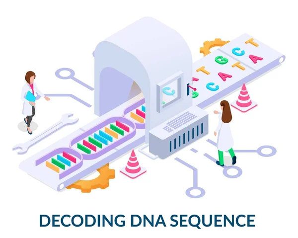 Αποκωδικοποίηση Της Έννοιας Αλληλουχίας Dna Άνθρωποι Ξετυλίγουν Την Αλυσίδα Dna — Διανυσματικό Αρχείο