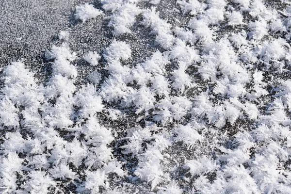 Fondo Blanco Nevado Con Cristales Helados Copos Nieve Rizados Cerca — Foto de Stock