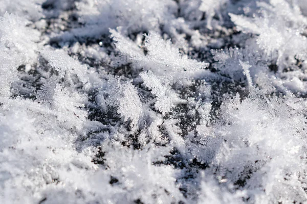 Fondo Blanco Nevado Con Cristales Helados Copos Nieve Rizados Cerca —  Fotos de Stock