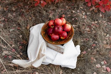 Sonbaharda sulu olgun kırmızı elmalar mevsimlik kırmızı renkli yaprakların arka planına karşı. Beyaz masa örtüsü ile seramik tabakta çıtır çıtır tatlı meyve. İştah açıcı rengin lezzetli meyveleri