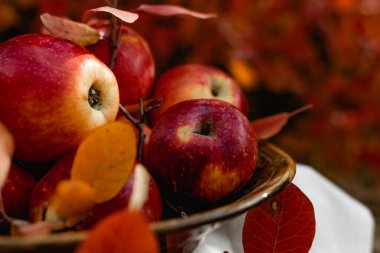 Sonbaharda sulu olgun kırmızı elmalar mevsimlik kırmızı renkli yaprakların arka planına karşı. Beyaz masa örtüsü ile seramik tabakta çıtır çıtır tatlı meyve. İştah açıcı rengin lezzetli meyveleri