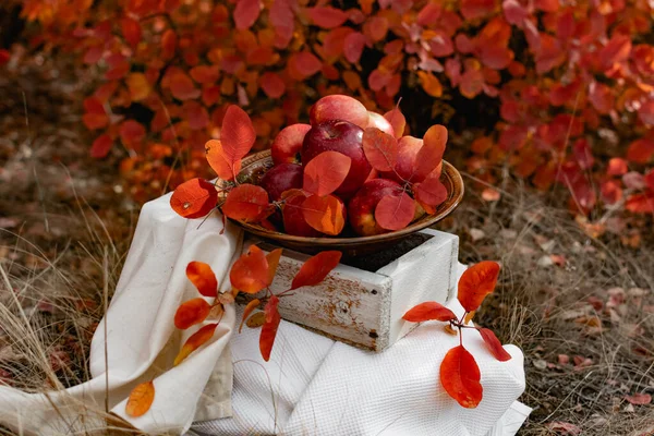 Soczyste Dojrzałe Czerwone Jabłka Jesienią Tle Sezonowych Czerwonych Liści Chrupiące — Zdjęcie stockowe