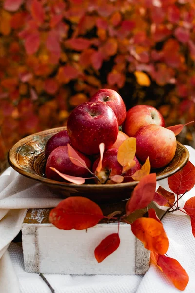 Сочные Спелые Красные Яблоки Осенью Фоне Сезонных Красных Красочных Листьев — стоковое фото