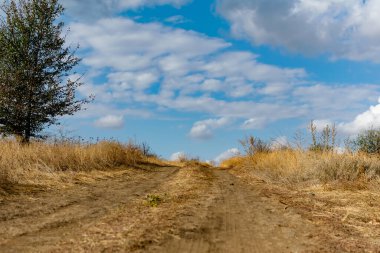 Kuru bitki örtüsü ve çimenlerin arasında toz toprak ve kum dönüşleriyle dolambaçlı geniş bir yol. Güzel bulutlu bir gökyüzünün arka planında. Sarı kuruyan bitkiler ve çalılar