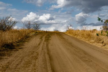 Kuru bitki örtüsü ve çimenlerin arasında toz toprak ve kum dönüşleriyle dolambaçlı geniş bir yol. Güzel bulutlu bir gökyüzünün arka planında. Sarı kuruyan bitkiler ve çalılar