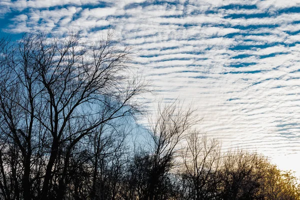 Cielo Azul Simple Con Nubes Blancas Estación Fresca Frescura Claro — Foto de Stock