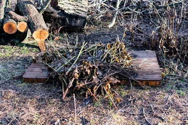 コンクリートの背景にある小さな小枝と乾燥したチップは 小さな火のために空の下の山の中に横たわっている — ストック写真