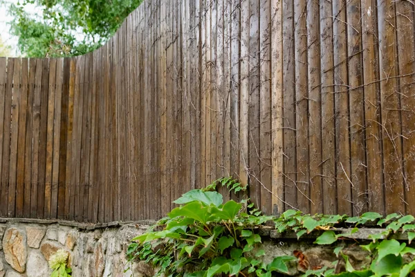 Brown Wooden Fence Made Used Wood Covered Special Varnish Composition — Stock Photo, Image