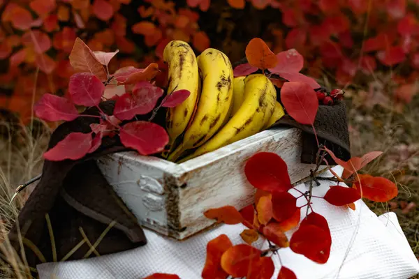 Dojrzałe Żółte Banany Drewnianym Białym Pudełku Wśród Jesiennych Czerwonych Liści — Zdjęcie stockowe