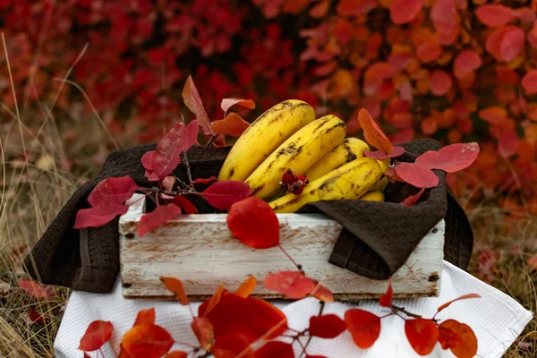 Спелые Желтые Бананы Деревянной Белой Коробке Среди Осенних Красных Листьев — стоковое фото