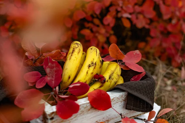 Спелые Желтые Бананы Деревянной Белой Коробке Среди Осенних Красных Листьев — стоковое фото