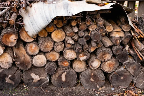 Prepared Firewood Grill Stove Sawn Thick Thin Tree Trunks Wet — Stock Photo, Image
