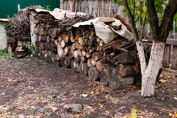 Prepared Firewood Grill Stove Sawn Thick Thin Tree Trunks Wet — Stock Photo, Image