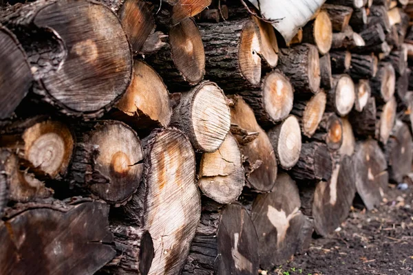 Prepared Firewood Grill Stove Sawn Thick Thin Tree Trunks Wet — Stock Photo, Image