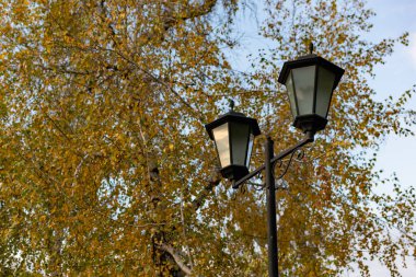 Açık gökyüzünün altında basit sokak ışıkları. Siyah metal çerçeve ve tozlu beyaz ampullü cam.