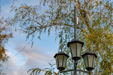 Açık gökyüzünün altında basit sokak ışıkları. Siyah metal çerçeve ve tozlu beyaz ampullü cam.