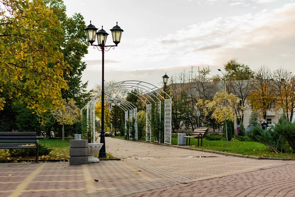 Paseo Parque Público Ciudad Hermoso Arco Metal Blanco Montón Vegetación — Foto de Stock