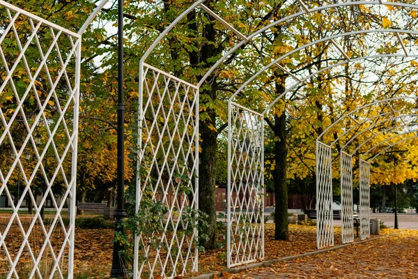 Paseo Parque Público Ciudad Hermoso Arco Metal Blanco Montón Vegetación — Foto de Stock