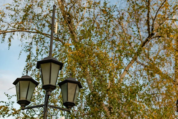 青空の下でシンプルな街路灯 電球と黒の金属フレームとほこりっぽい白いガラス — ストック写真