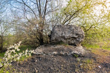 Büyük kayalık bir kompozisyon. Geniş, pürüzlü gri betondan bir taş. Aynı büyüklükte bir levha üzerinde. Etrafı çiçek açan bahar ağaçları ve çalılarla çevrili.