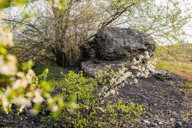 Büyük kayalık bir kompozisyon. Geniş, pürüzlü gri betondan bir taş. Aynı büyüklükte bir levha üzerinde. Etrafı çiçek açan bahar ağaçları ve çalılarla çevrili.
