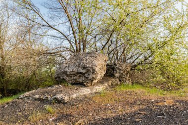 Büyük kayalık bir kompozisyon. Geniş, pürüzlü gri betondan bir taş. Aynı büyüklükte bir levha üzerinde. Etrafı çiçek açan bahar ağaçları ve çalılarla çevrili.