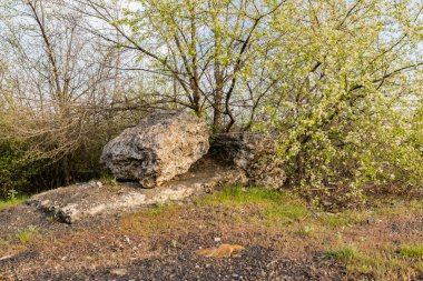 Büyük kayalık bir kompozisyon. Geniş, pürüzlü gri betondan bir taş. Aynı büyüklükte bir levha üzerinde. Etrafı çiçek açan bahar ağaçları ve çalılarla çevrili.