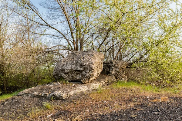 Büyük kayalık bir kompozisyon. Geniş, pürüzlü gri betondan bir taş. Aynı büyüklükte bir levha üzerinde. Etrafı çiçek açan bahar ağaçları ve çalılarla çevrili.