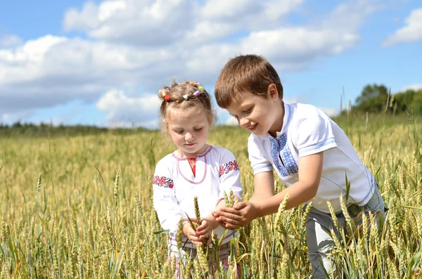 Little farmers taking care of wheat ears — Stock Photo, Image