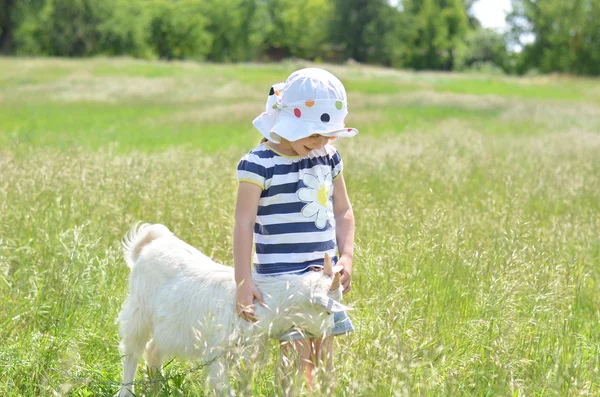 Beautiful little girl touch the goat in the field — Stock Photo, Image