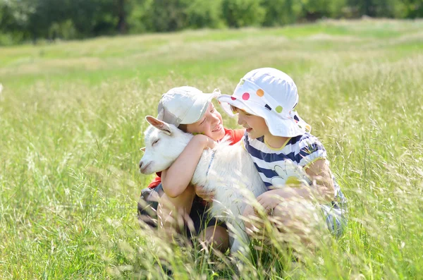 Brother and sister hugging baby goat in the field — Stock Photo, Image