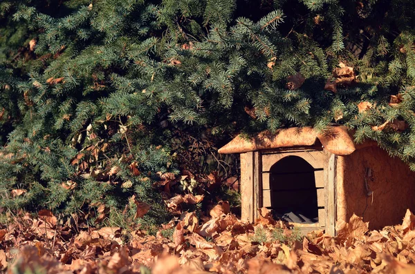Old dog house surrounded by yellow leaves in the forest — Stock Photo, Image
