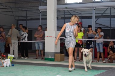 Köpek ile birlikte güven halka etrafında bir koşu yaparken Labrador 