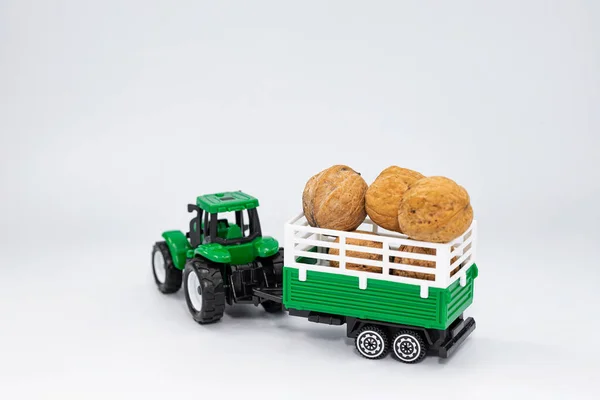 玩具农场的绿色拖拉机在拖车中运送核桃 — 图库照片