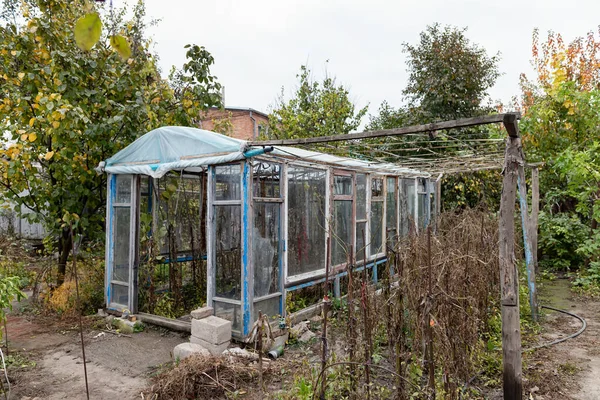 Uitzicht Kas Gemaakt Van Oude Raamkozijnen Geïmproviseerde Materialen Het Herfstseizoen — Stockfoto